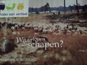 Banner van Waar lopen de schapen?